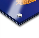 Duomo of San Giorgio Cathedral in Modica Sicily Italy Acrylic print