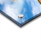 Siena Tuscany Italy. The Cathedral Acrylic print