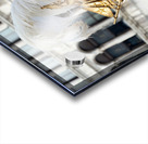 Venice Italy. The Carnival Acrylic print