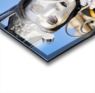 Venice Italy. The Carnival Acrylic print