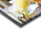 Venice Italy. The Carnival Acrylic print