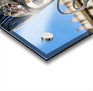 Venice Italy. The Carnival Acrylic print