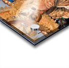 Venice Italy. The Carnival Acrylic print