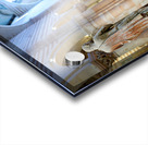 Verona Veneto Italy. The Basilica of San Zeno Acrylic print