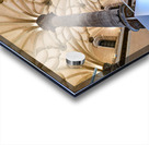 Zaragoza. Saragossa. Aragon. Spain. Sala de Exposiciones La Lonja Acrylic print