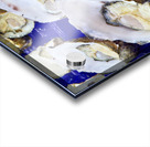 Freshly shucked oysters on blue plastic trays. Acrylic print