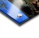 A gnarled tree overlooks a river in a vast canyon. Acrylic print