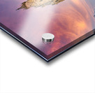 Majestic St. Stephens Cathedral in Vienna under a colorful sky. Acrylic print