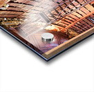 Historic library interior with globe books and rolling ladder. Acrylic print