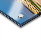 Schönbrunn Palace Vienna with statues and autumn trees. Acrylic print