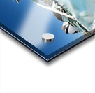 Visit to Museu de les Ciencies Principe Felipe in Valencia Spain Acrylic print