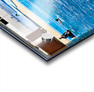 Dolphins perform tricks at Oceanografic in Valencia Spain Acrylic print