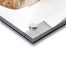 Ancient Japanese mask displayed at Honkan Gallery in Tokyo Acrylic print