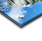 Matsumoto Castle during cherry blossom season in Japan Acrylic print