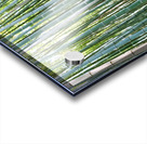 Buddhist monk takes pictures in Arashiyama Bamboo Grove in Japan Acrylic print