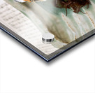 Traditional Japanese cuisine served in a restaurant in Miyajima Acrylic print