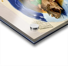 Enjoying traditional Japanese cuisine at a restaurant in Miyajim Acrylic print