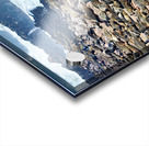 Cape fur seals resting on Skeleton Coast in Namibia near Cape Cr Acrylic print