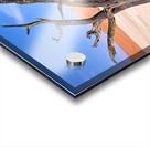 Dry camel thorn tree in Deadvlei clay pan of Namibia Acrylic print