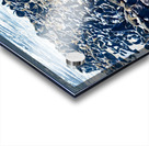 Cape fur seal colony on Skeleton Coast at Cape Cross in Namibia Acrylic print