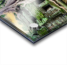 Ancient temple ruins overgrown by massive tree roots and moss. Acrylic print