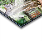 Ancient temple ruins overgrown by massive tree roots and moss. Acrylic print