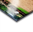 Ancient statue overlooks temple ruins amidst lush greenery. Acrylic print