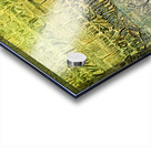 Ancient bas reliefs depicting processions deities and battles. Acrylic print