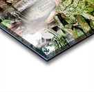 Ancient temple ruins overgrown by trees and moss. Acrylic print