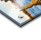 Sydney Opera House seen through a fence Acrylic print