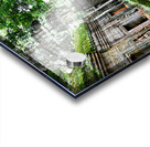 Massive tree roots engulf ancient temple ruins with moss. Acrylic print