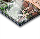 Angkor temple ruins consumed by nature. Acrylic print