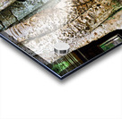 Giant tree roots engulf ancient temple ruins. Acrylic print