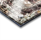 Ancient Khmer stone face Bayon temple. Acrylic print