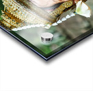 Smiling Cambodian dancer in traditional golden costume and crown Acrylic print