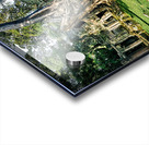 Ancient temple ruins overgrown by massive tree roots. Acrylic print