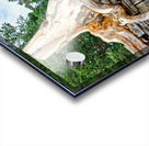 Tree roots engulf ancient temple ruins. Acrylic print