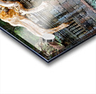 Massive tree roots engulf ancient stone temple ruins. Acrylic print