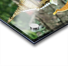 Cambodian dancers in golden attire and elaborate headwear. Acrylic print