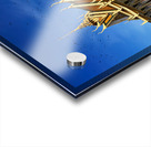 Majestic Cambodian temple under a blue sky with flying birds. Acrylic print