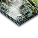 Ancient temple ruins intertwined with giant tree. Acrylic print