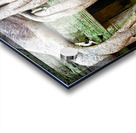 Massive tree roots dominate ancient mossy temple structure. Acrylic print