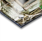 Ancient temple ruins consumed by massive tree roots. Acrylic print