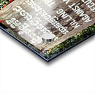 Cambodian Killing Tree a poignant memorial for children. Acrylic print