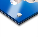 Shepherd holds his young goats in Namibia under bright blue sky Acrylic print