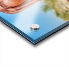 Portrait of a Himba woman in Namibias Kunene region Acrylic print