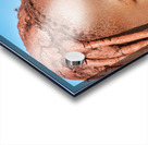 Portrait of a Himba woman in Kunene region of Namibia during the Acrylic print