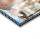 Portrait of a child from Himba Village in Kunene Region of Namib Acrylic print