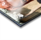 Himba woman in traditional hair headdress in Kunene Region of Na Acrylic print