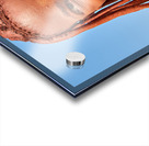 Portrait of a Himba woman in Kunene region of Namibia Acrylic print